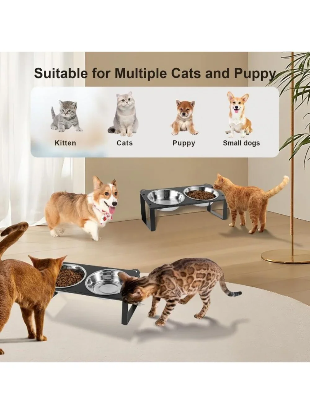 Elevated Cat Food & Water Bowls Set - 4 Stainless Steel Dishes with Cute Stand